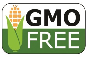 GMOfree